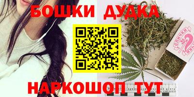 индика Новокубанск