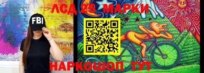 индика Новокубанск