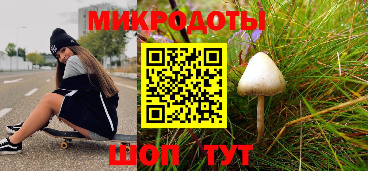 Галлюциногенные грибы Psilocybine cubensis Сухой Лог
